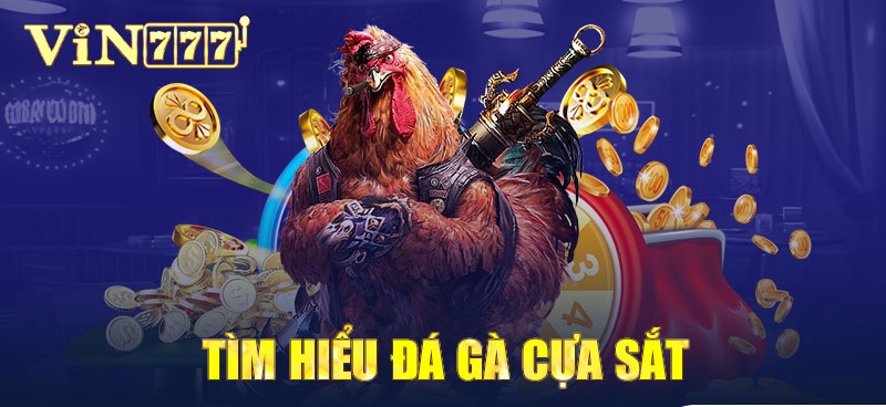 Đá gà Vin777